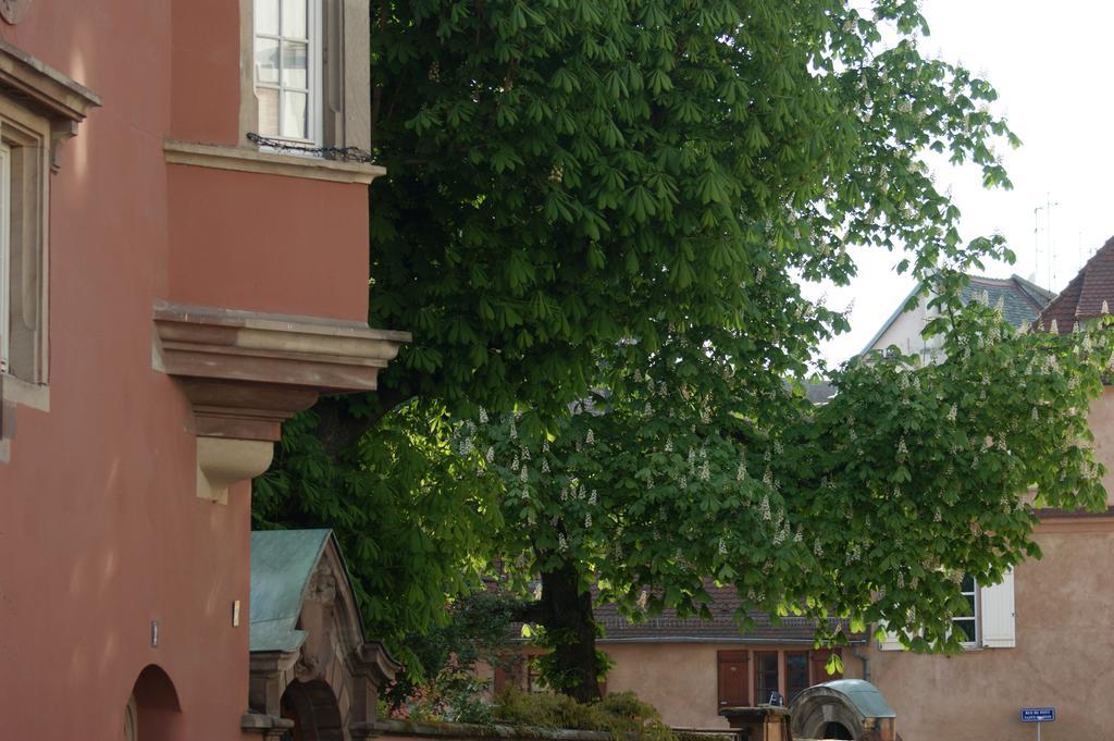 Quai 17 Maison D'Hotes Strasbourg Exterior photo