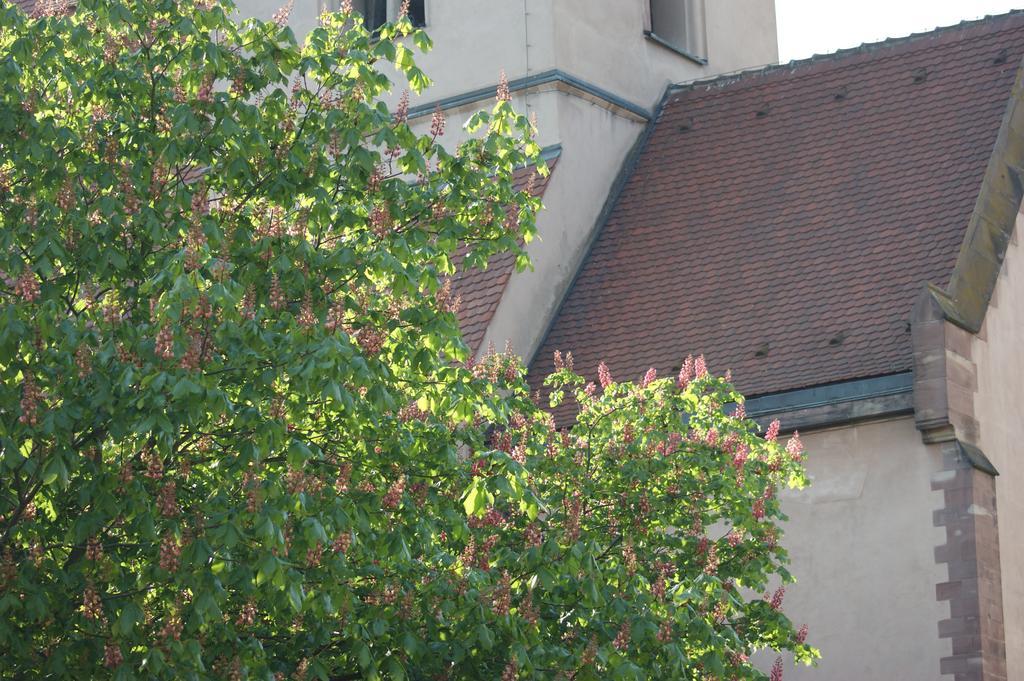 Quai 17 Maison D'Hotes Strasbourg Exterior photo